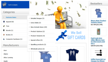 Our professional Ecommerce site has everything you need to sell online